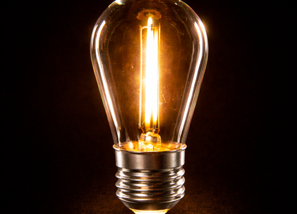Dimbaar LED filament lampen - 1 watt E27, Warmwit (2700K)